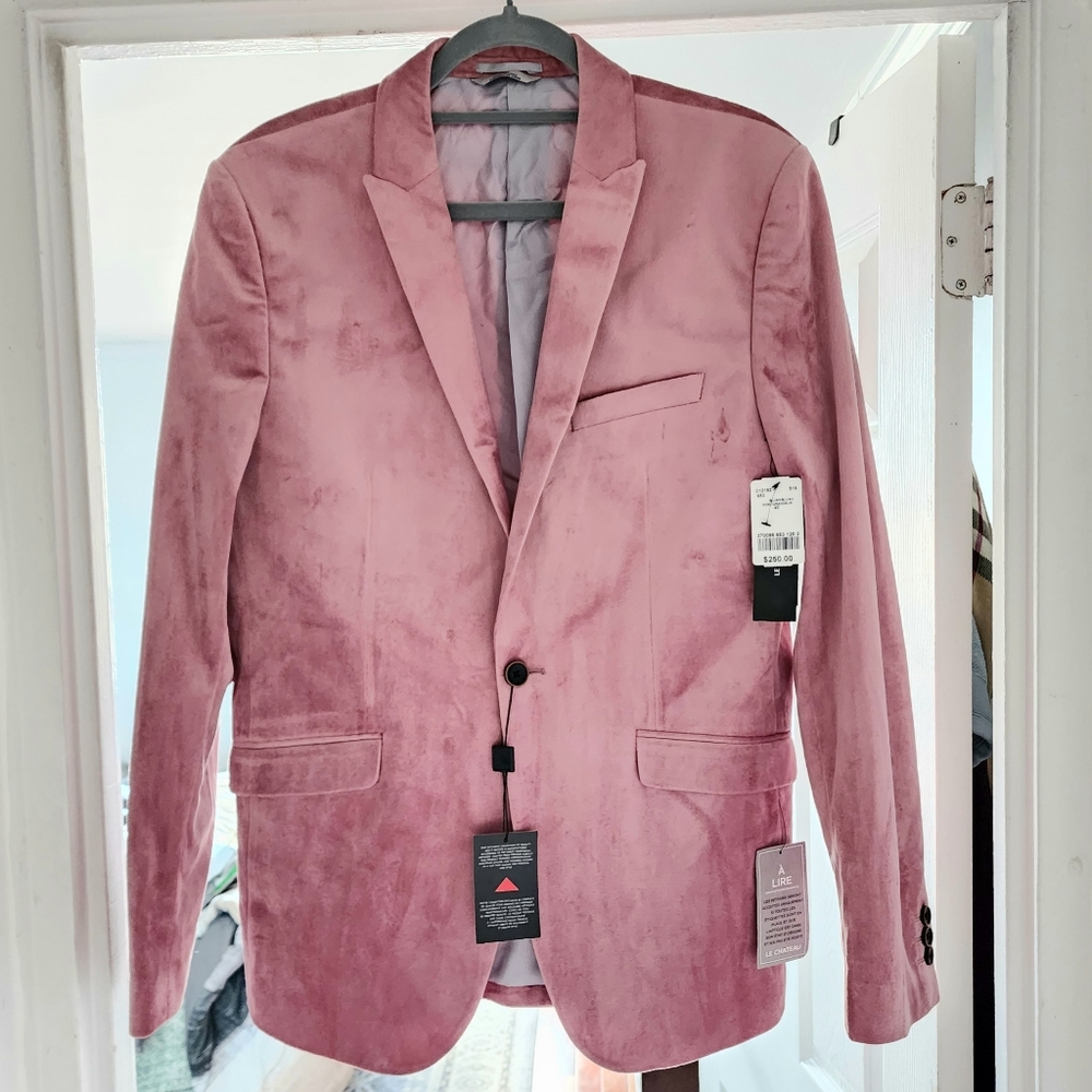 Pink Velvet Blazer NWT